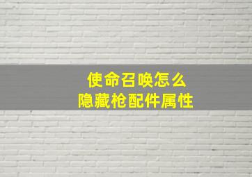 使命召唤怎么隐藏枪配件属性