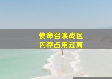 使命召唤战区内存占用过高