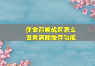 使命召唤战区怎么设置清除缓存功能