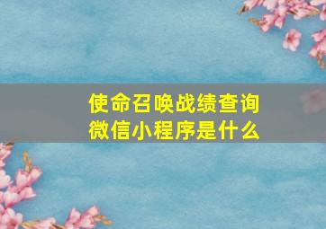 使命召唤战绩查询微信小程序是什么