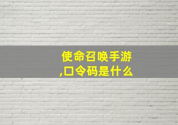 使命召唤手游,口令码是什么