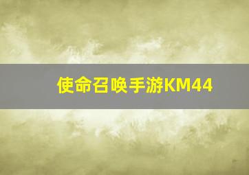 使命召唤手游KM44