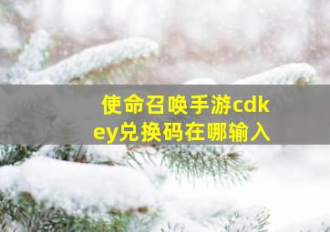 使命召唤手游cdkey兑换码在哪输入