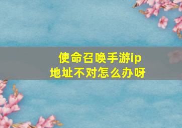 使命召唤手游ip地址不对怎么办呀