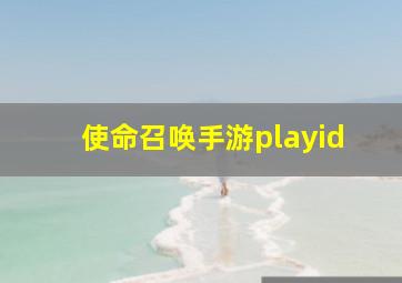 使命召唤手游playid