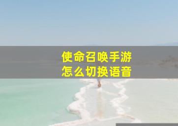 使命召唤手游怎么切换语音