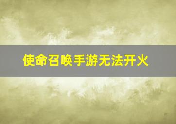 使命召唤手游无法开火