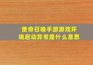 使命召唤手游游戏环境启动异常是什么意思