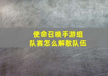 使命召唤手游组队赛怎么解散队伍