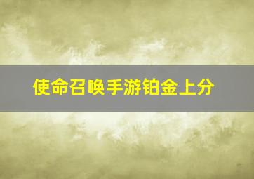 使命召唤手游铂金上分