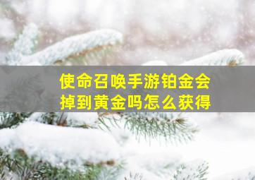 使命召唤手游铂金会掉到黄金吗怎么获得