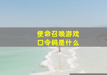 使命召唤游戏口令码是什么