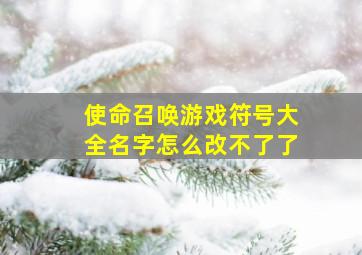 使命召唤游戏符号大全名字怎么改不了了