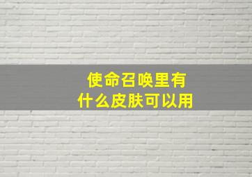 使命召唤里有什么皮肤可以用