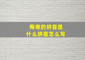 侮辱的拼音是什么拼音怎么写