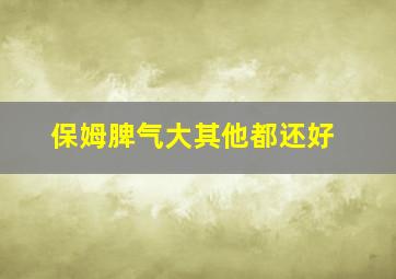 保姆脾气大其他都还好