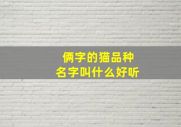 俩字的猫品种名字叫什么好听