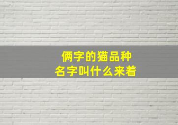 俩字的猫品种名字叫什么来着