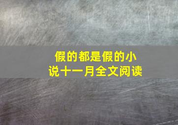 假的都是假的小说十一月全文阅读