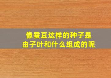 像蚕豆这样的种子是由子叶和什么组成的呢