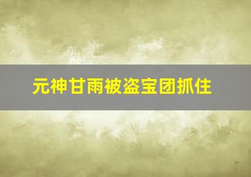 元神甘雨被盗宝团抓住