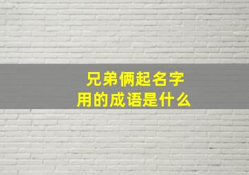 兄弟俩起名字用的成语是什么