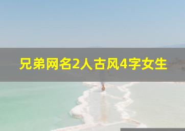 兄弟网名2人古风4字女生