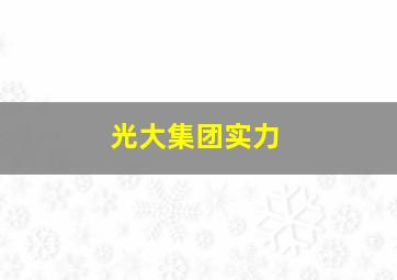 光大集团实力