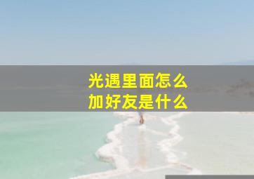 光遇里面怎么加好友是什么