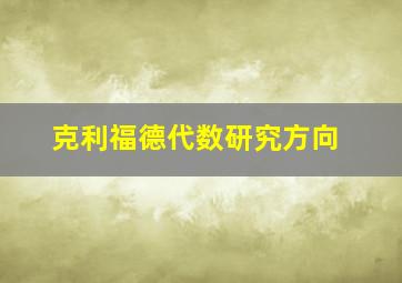 克利福德代数研究方向