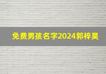 免费男孩名字2024郭梓昊