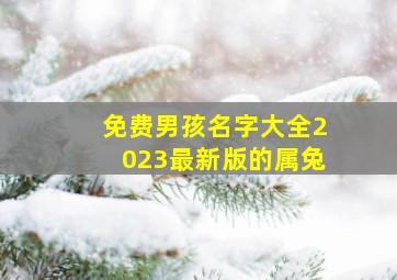 免费男孩名字大全2023最新版的属兔