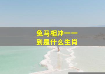 兔马相冲一一到是什么生肖