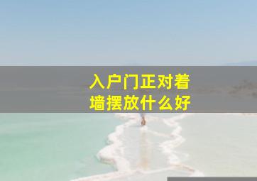 入户门正对着墙摆放什么好