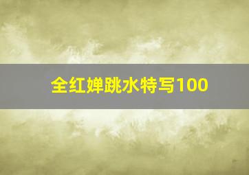 全红婵跳水特写100