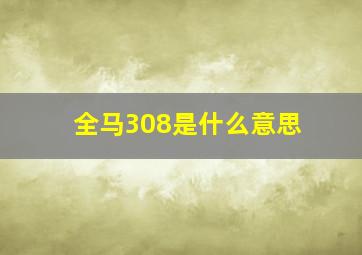 全马308是什么意思