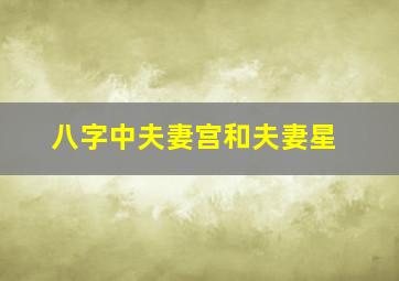 八字中夫妻宫和夫妻星