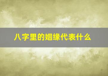 八字里的姻缘代表什么