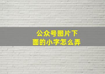 公众号图片下面的小字怎么弄