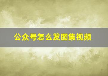 公众号怎么发图集视频