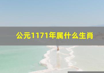 公元1171年属什么生肖