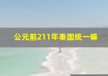 公元前211年秦国统一嘛