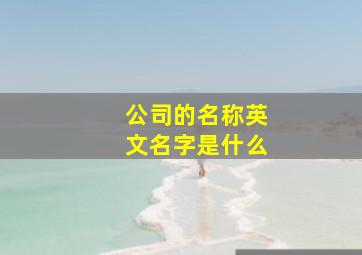 公司的名称英文名字是什么