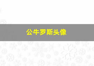 公牛罗斯头像