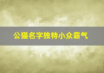 公猫名字独特小众霸气