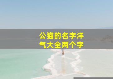 公猫的名字洋气大全两个字