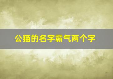 公猫的名字霸气两个字