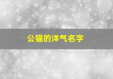 公猫的洋气名字