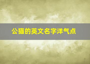 公猫的英文名字洋气点