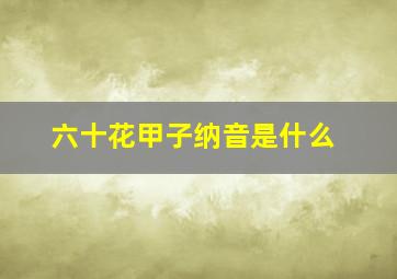 六十花甲子纳音是什么